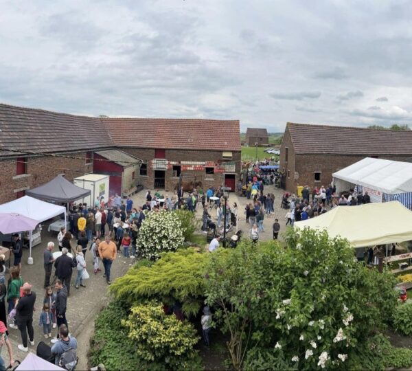 Concours de chevaux de trait et marché de producteurs locaux