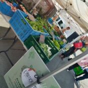 Marché des producteurs HENRIPONT le 18 mai 2024