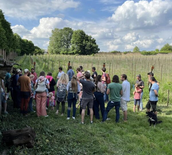 Journée Portes ouvertes au Domaine de la Portelette: Vignes en fête… avec vous!