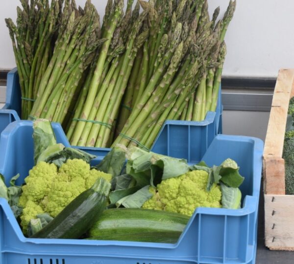 Marché des producteurs locaux