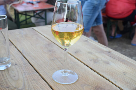 Journée Portes ouvertes au Domaine de la Portelette: Vignes en fête… avec vous!