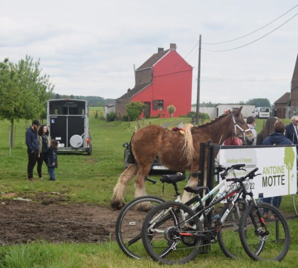 A vélo pour comprendre les paysages de la campagne autour de Soignies