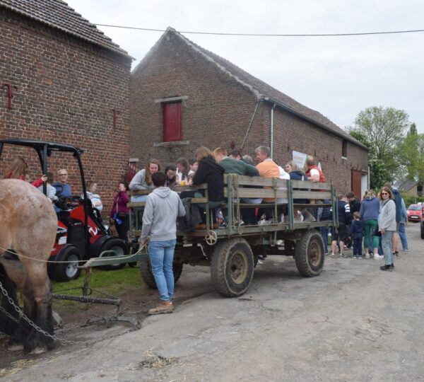 Promotion du Cheval de Trait belge