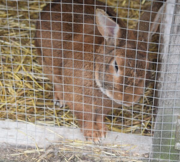 Visite de la Ferme DÔRLOÛ