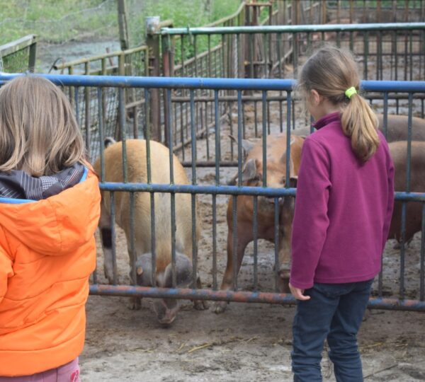 Visite de la Ferme DÔRLOÛ