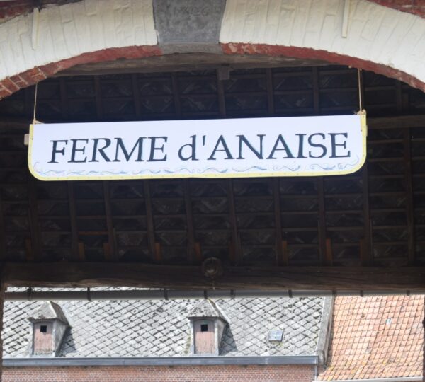 Des fermes de la commune d'Ellezelles vous ouvrent leurs portes