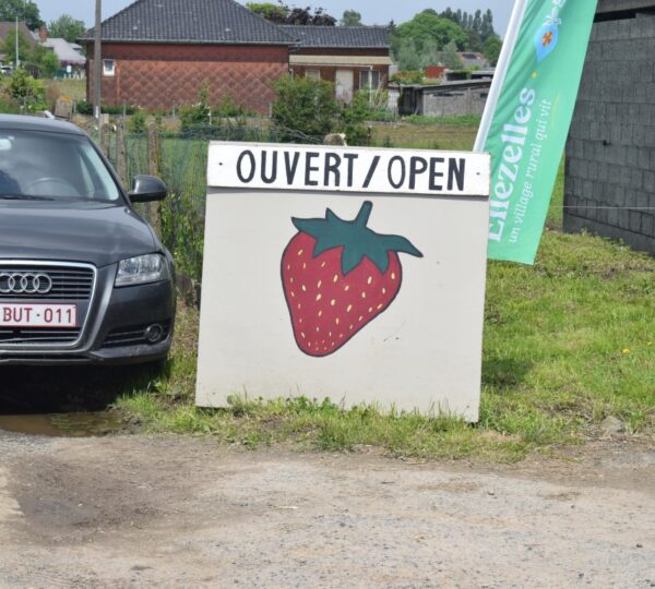 Des fermes de la commune d'Ellezelles vous ouvrent leurs portes