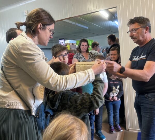 Le monde des abeilles au Pom d'Happy Store