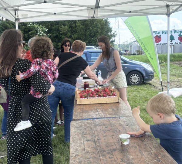 A la découverte des serres de fraises et de l'aspergeraie