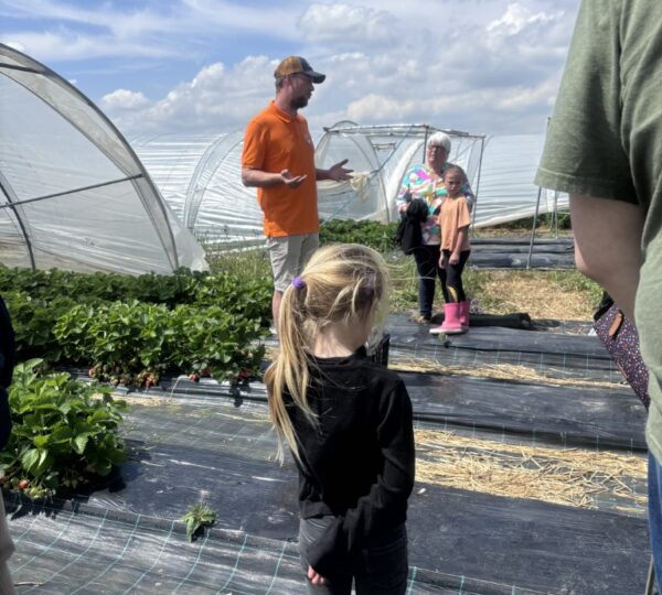 A la découverte des serres de fraises et de l'aspergeraie