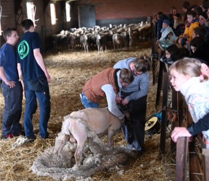 Portes ouvertes à la Bergerie des Collines: partez à la découverte de la ferme gourmande