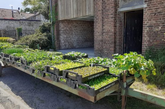 Matinée de découverte à la Ferme du Tilleul