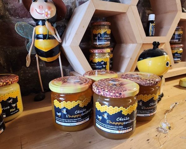 Découverte du monde des abeilles