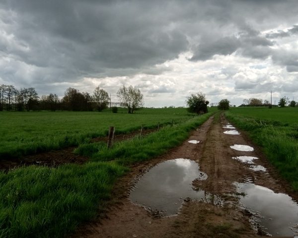 Balades audioguidées pour comprendre les paysages agricoles