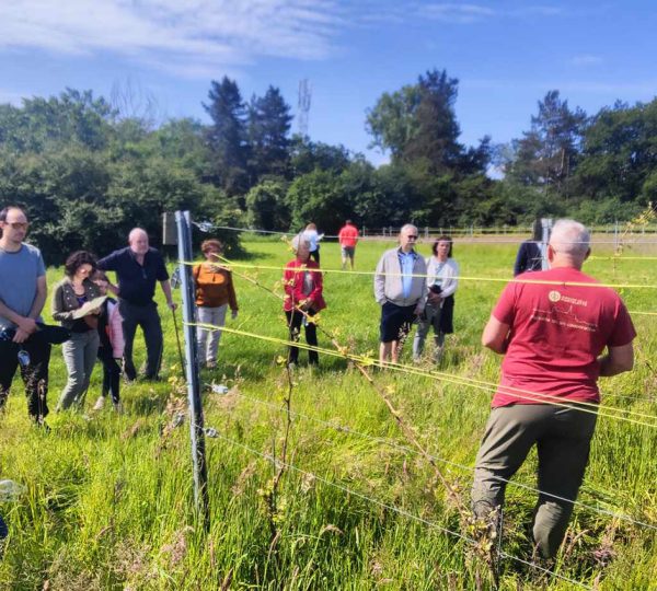 Journée Portes ouvertes au Domaine de la Portelette: Vignes en fête… avec vous!