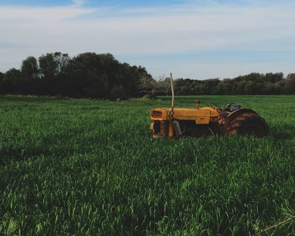 Notre (sur)vie en terre agricole