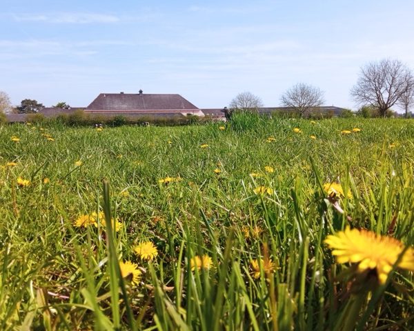 A la découverte de la ferme du CREPA - CARAH