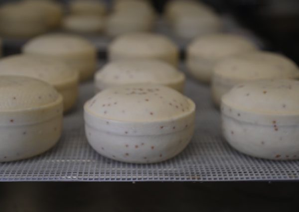 A la découverte de la ferme du CREPA - CARAH