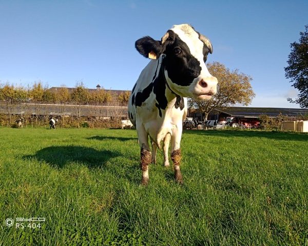 A la découverte de la ferme du CREPA - CARAH