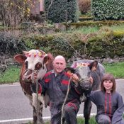 Elevage de la petite suisse