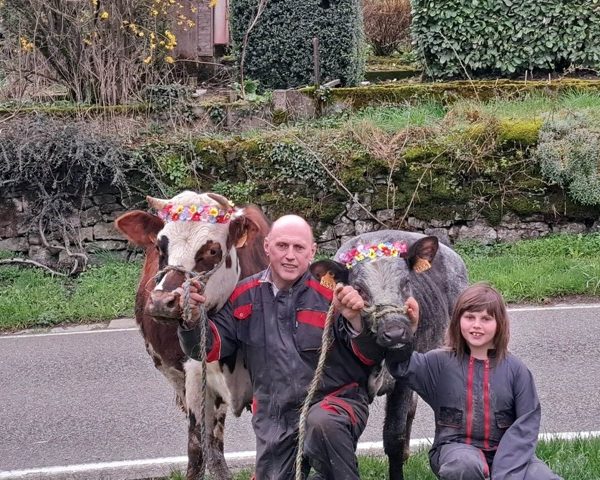 Elevage de la petite suisse