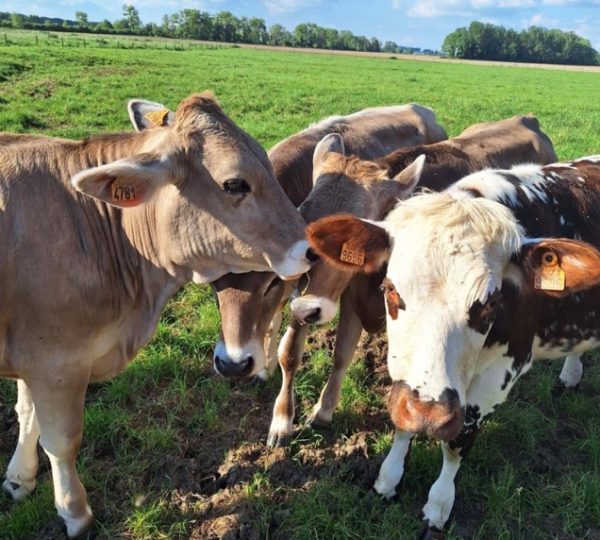 Portes ouvertes à la Ferme du Clocher