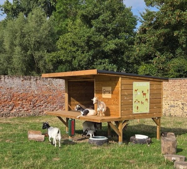 Les MINIS à la ferme