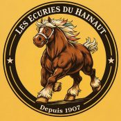 Promotion du Cheval de trait belge
