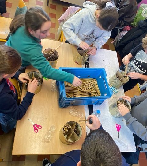 Campagne de sensibilisation dans les écoles