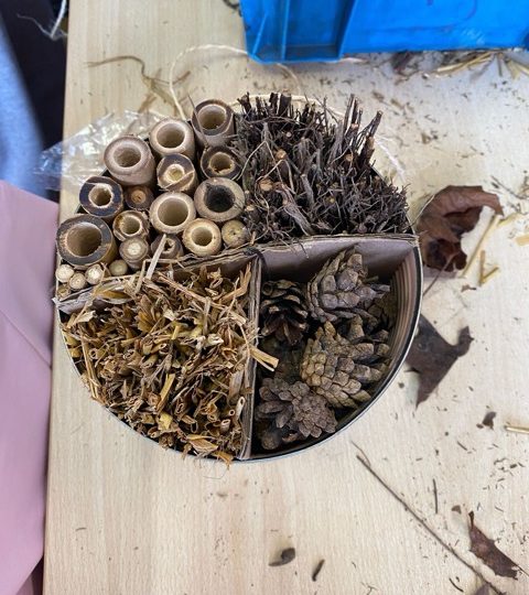 Campagne de sensibilisation dans les écoles