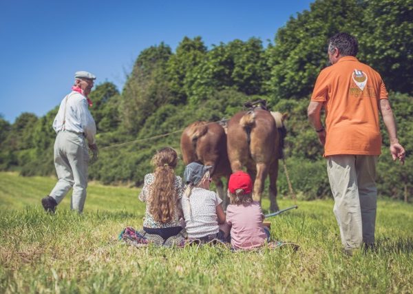 Journée Portes ouvertes au vignoble du Domaine de la Portelette