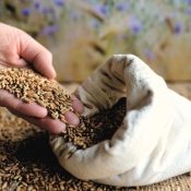 Conférence gesticulée "Quand on sème, c’est pour la vie"