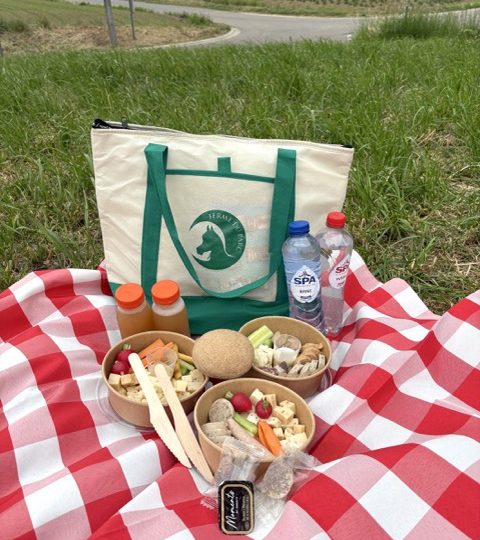 Les MINIS à la ferme