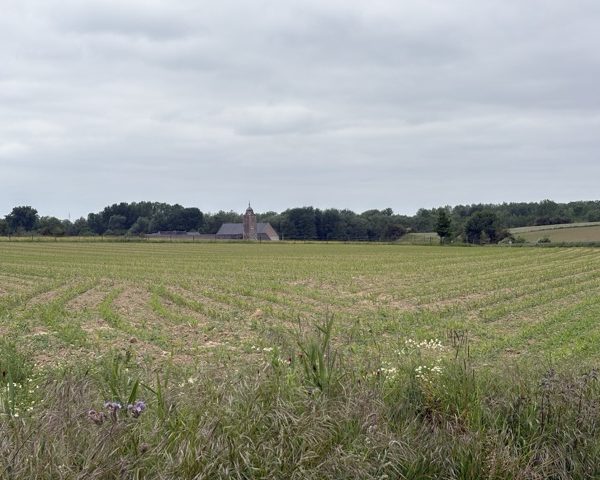 Les MINIS à la ferme