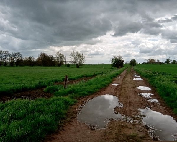 Balades audioguidées pour comprendre les paysages agricoles