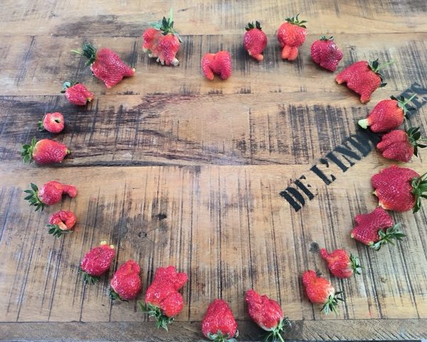 Portes ouvertes au Jardin des Abeilles