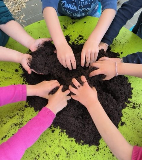 Portes ouvertes au Jardin des Abeilles