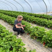 Le Jardin des Abeilles Nechin