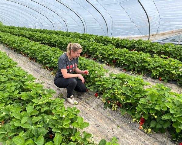 Le Jardin des Abeilles Nechin