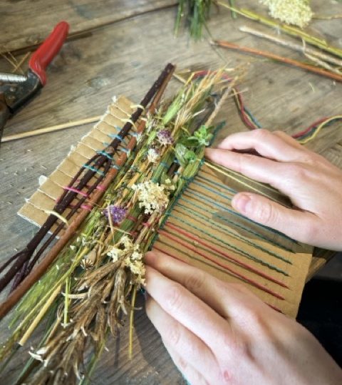 VIVANT: le Parc naturel des Hauts-Pays en fête