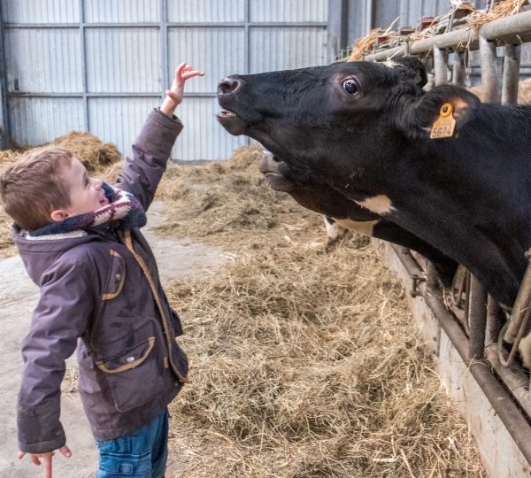 Regards artistiques sur le métier d’Agriculteur
