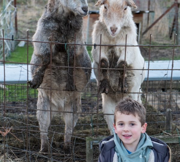 Regards artistiques sur le métier d’Agriculteur