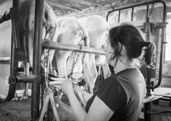 Portes ouvertes à la Bergerie de Léonie