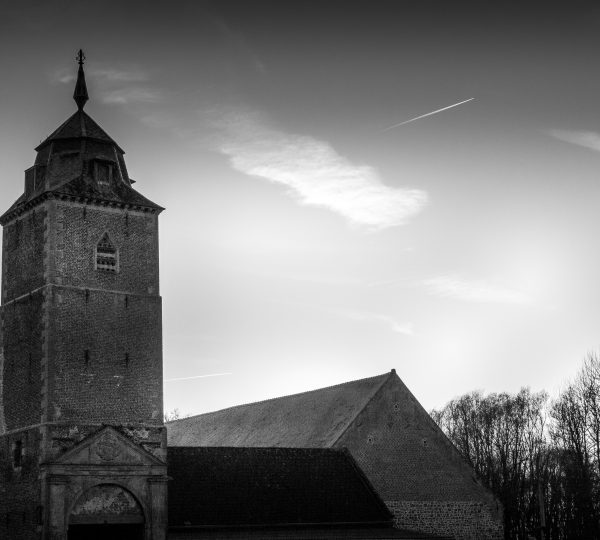 Regards artistiques sur le métier d’Agriculteur