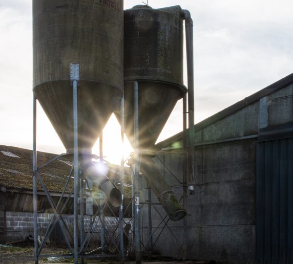 Regards artistiques sur le métier d’Agriculteur