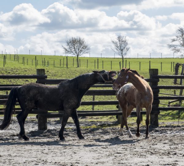 Regards artistiques sur le métier d’Agriculteur