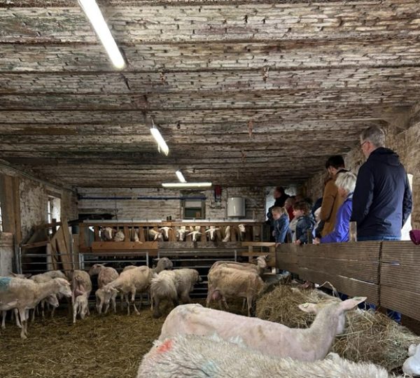 Portes ouvertes à la Bergerie de Léonie