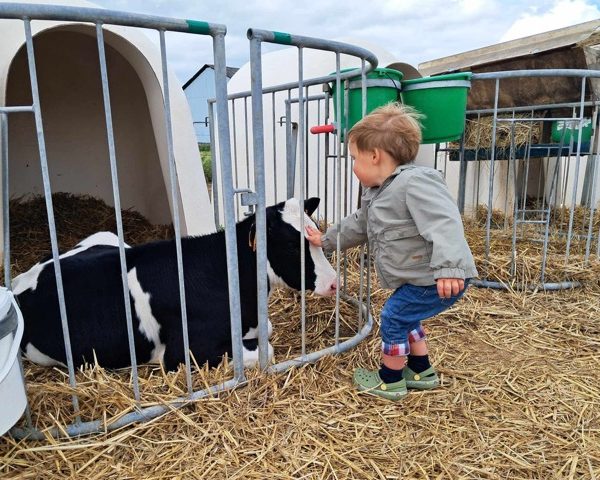 ferme Pype : enfant-veaux-portes-ouvertes