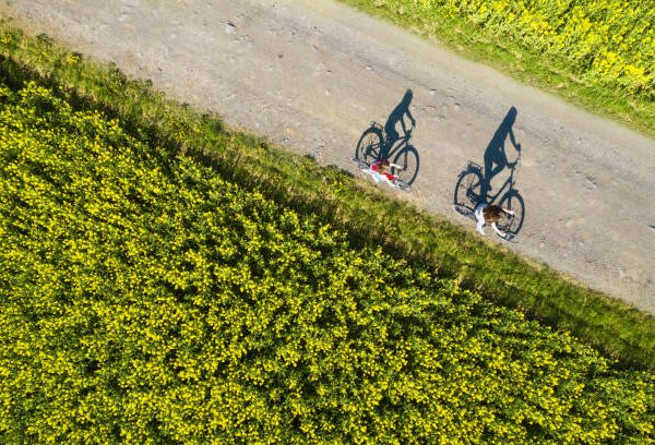 Circuits vélos & Saveurs locales