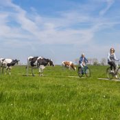 Circuits vélos & Saveurs locales
